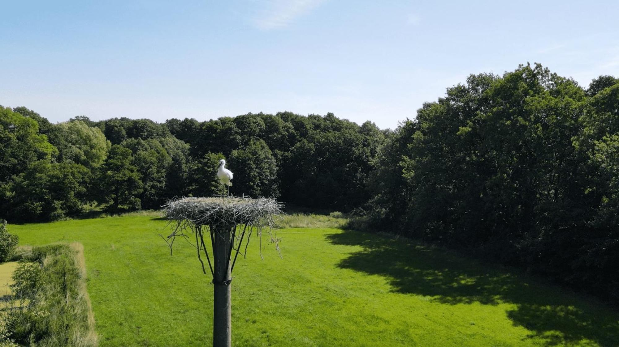 Fuchsbau Hotell Walsrode Exteriör bild